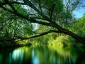 Природа